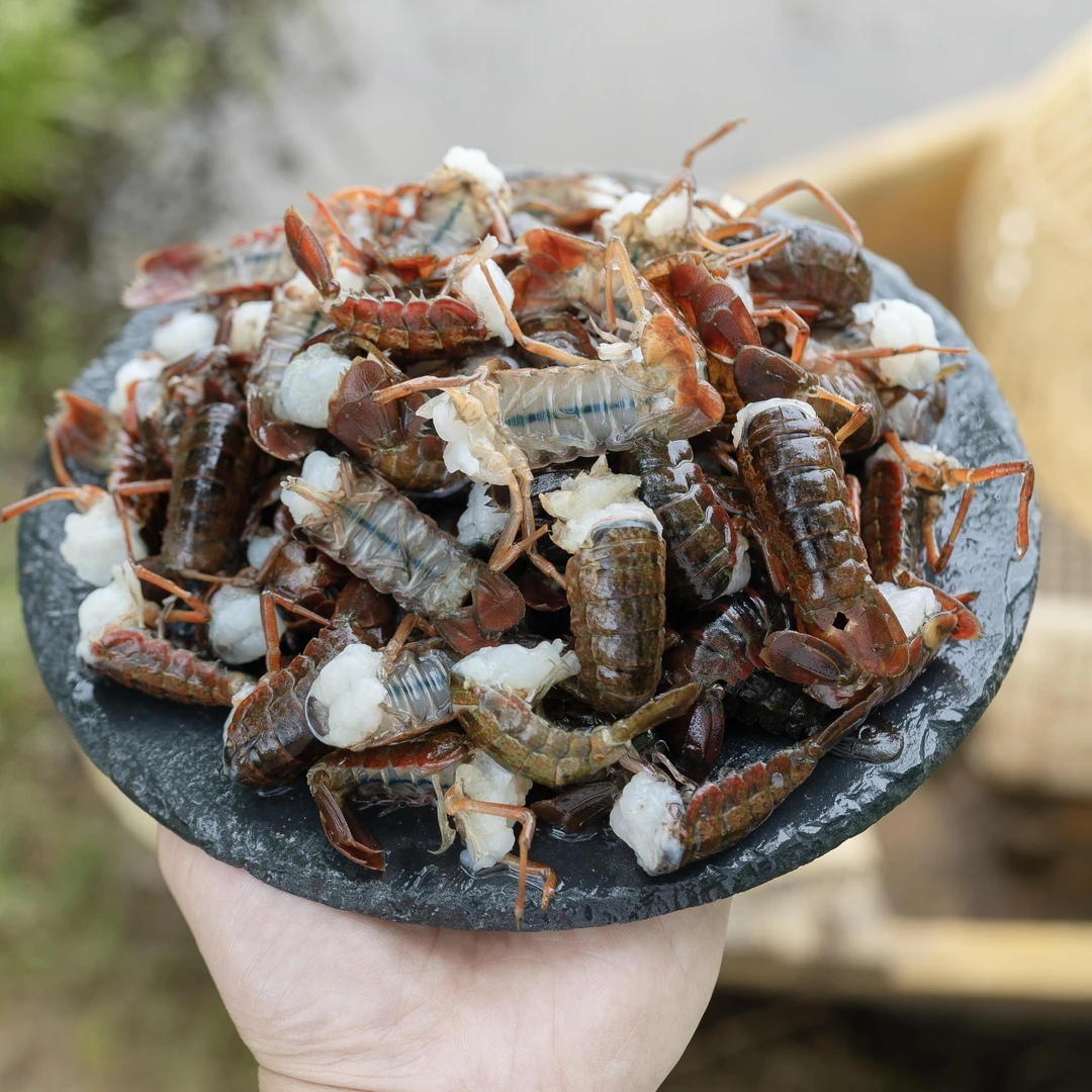 湖北潜江新鲜虾球清水小龙虾鲜虾尾活虾现剥现发400g赠虾料包