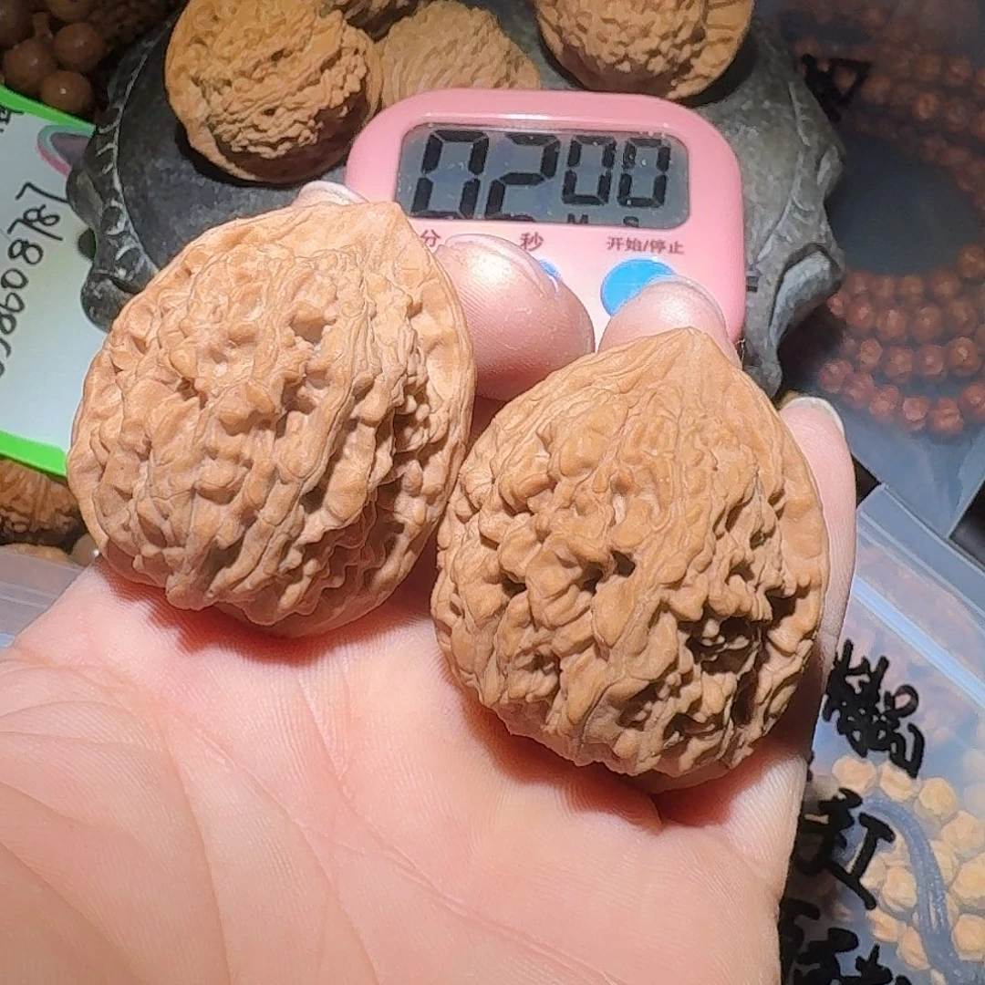 核桃37尺精品蚂蚁王