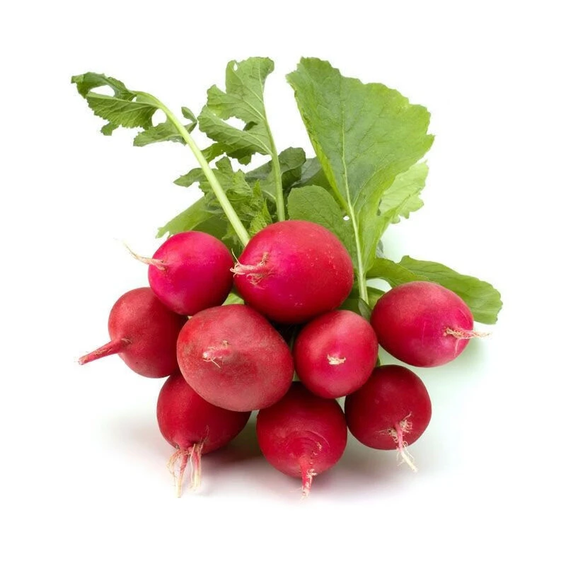 樱桃水萝卜1斤左右