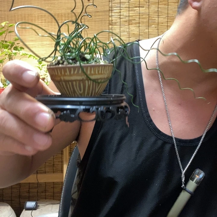 一物一拍所见即所得136