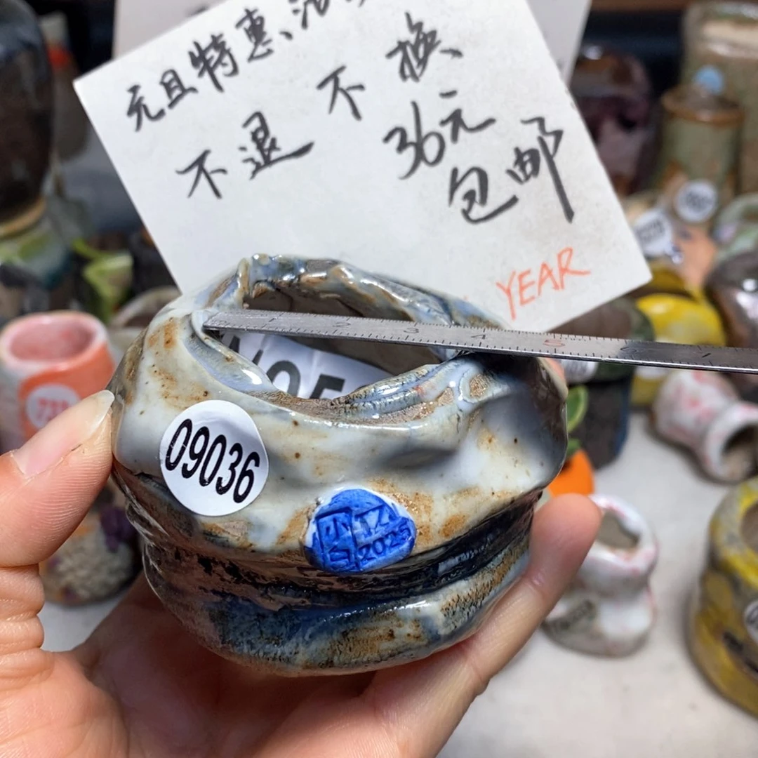 元旦特惠盆不退不换，原价68元一个