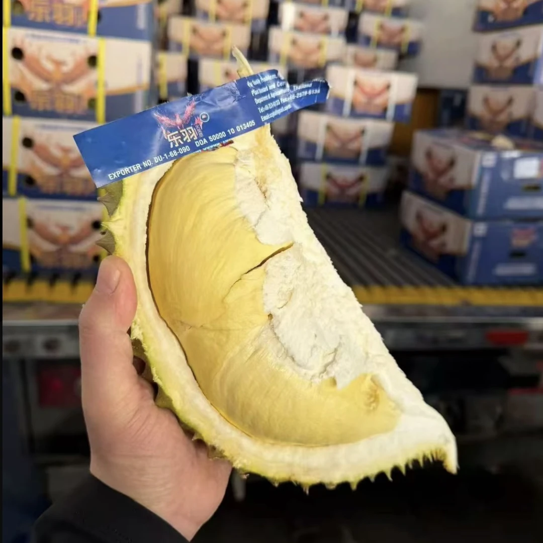 【乐羽火凤凰丨草帽同款品质｜脆皮干包介意勿拍！】泰国南部空运金枕鲜榴莲3-10斤核小金枕泰国