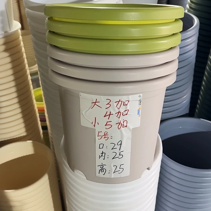 四季5#口径29果绿5个无托