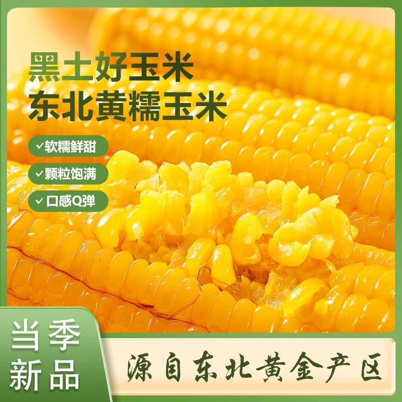 25东北粘玉米香甜软糯玉米每根240-300克（一箱8根）可试吃一根