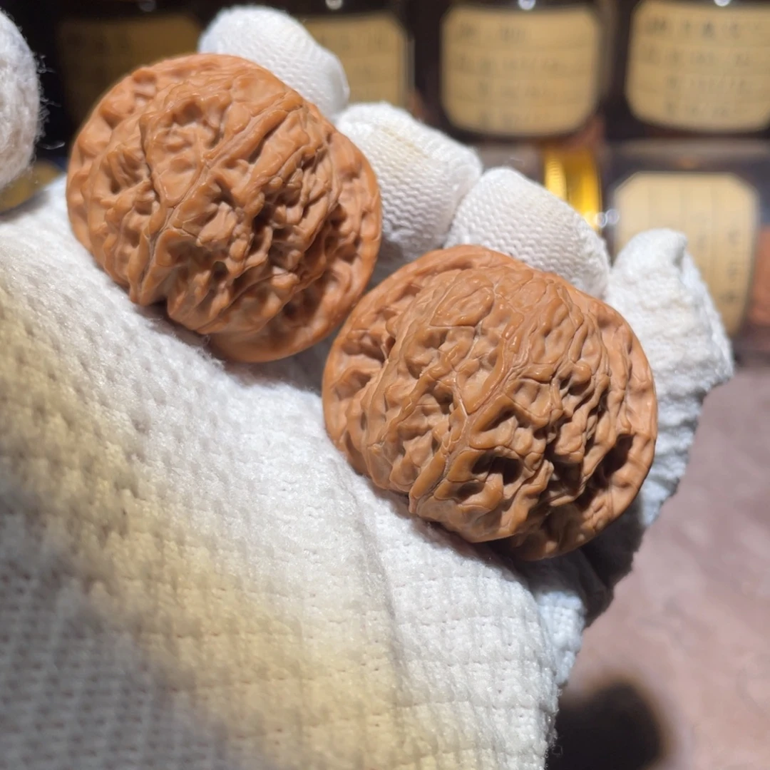 核桃43山地正磨mmmmmm