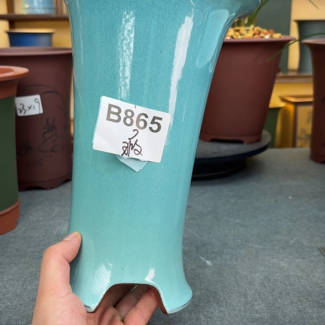 梵***玲紫砂花盆兰花458758858869888