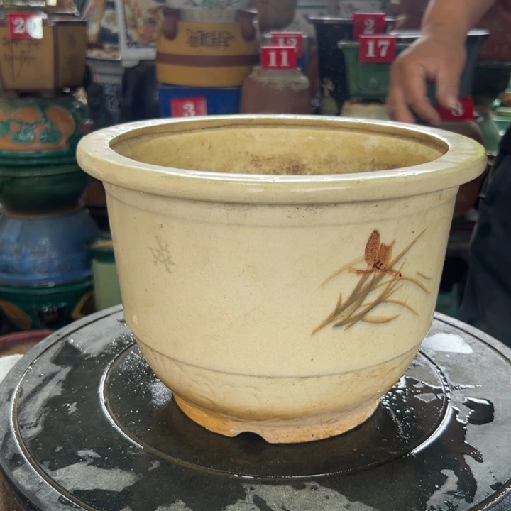 虫*我们都是好孩子呀哈喽