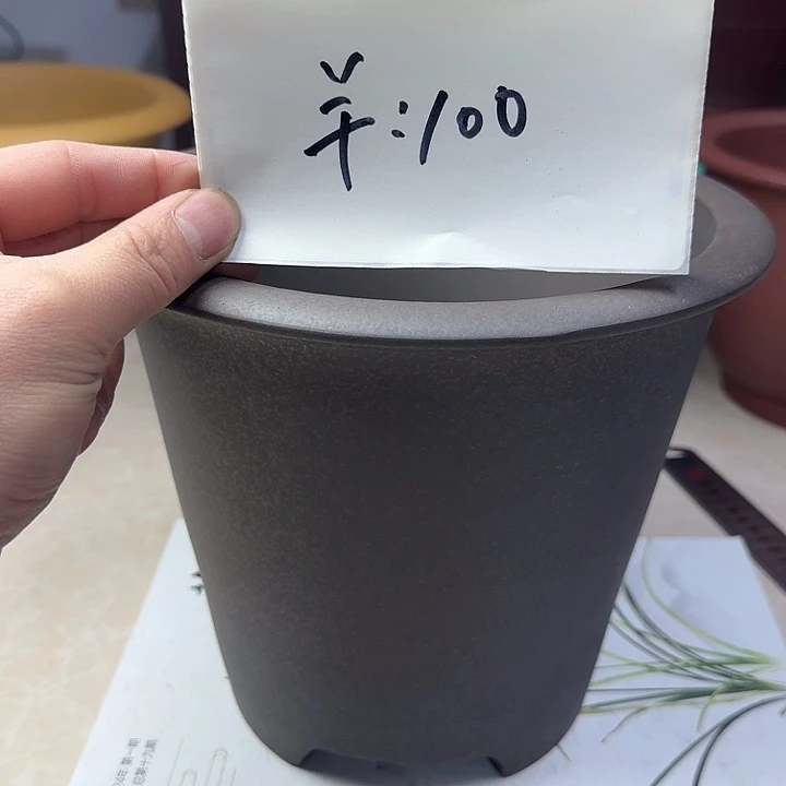 春秋花盆精品兰盆