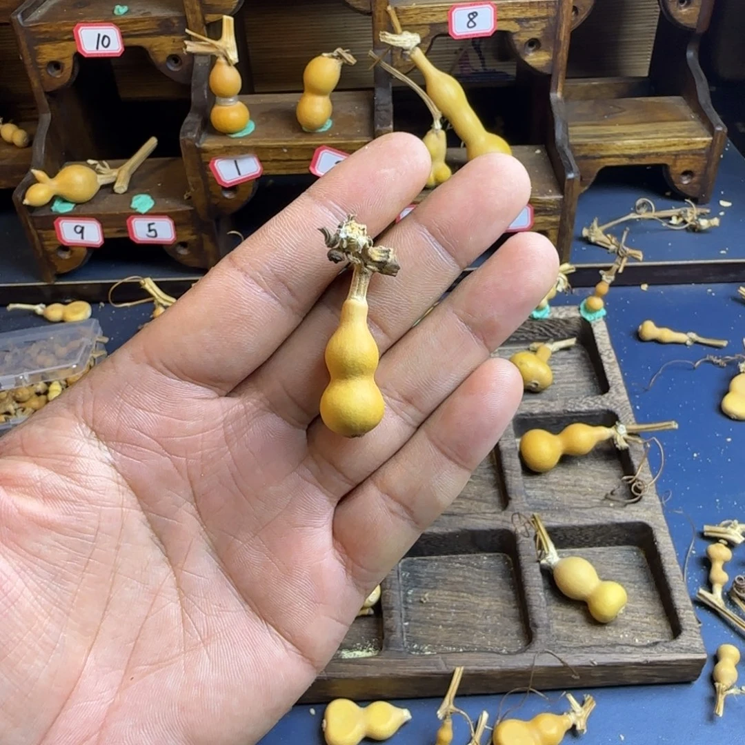 七*吖我也是很喜欢这个节目