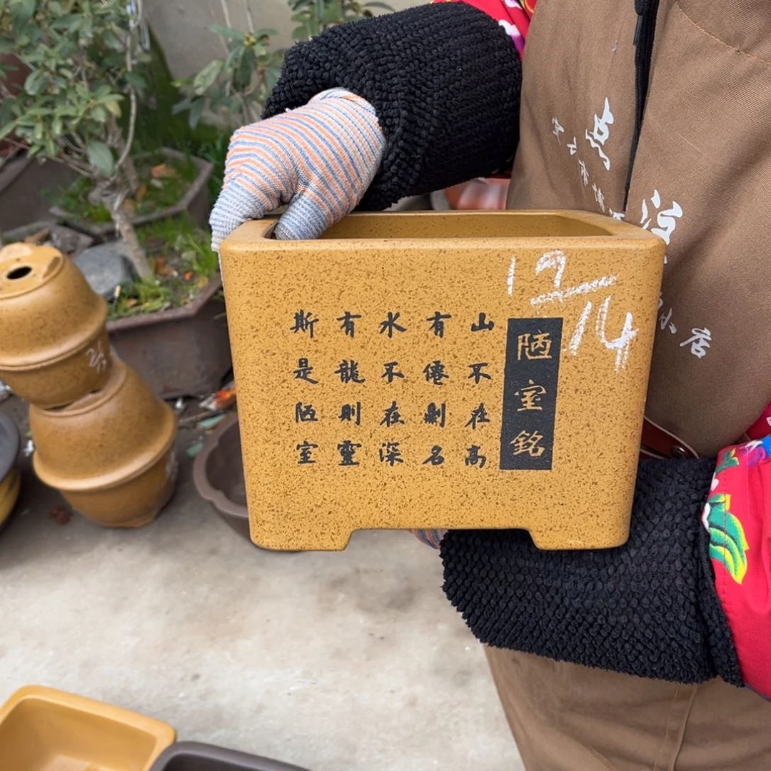 紫砂花盆盆景艺术