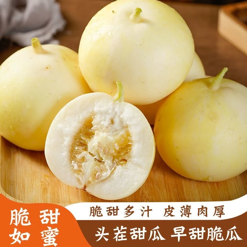 山东头茬小蜜蜂甜瓜脆甜多汁现采现摘产地直发当季新鲜水果