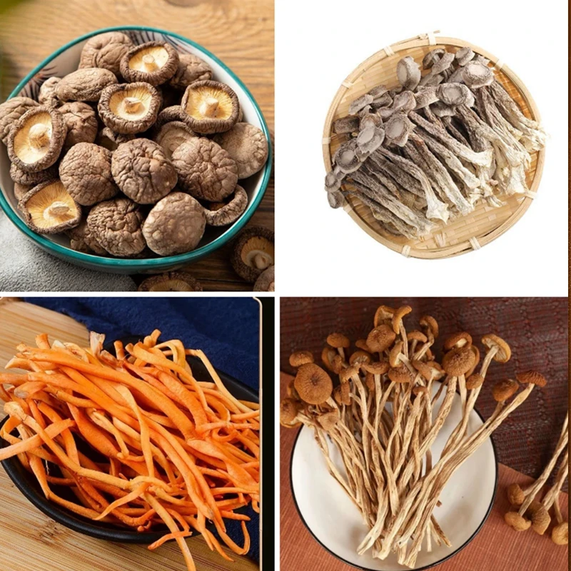 菌菇四组合干货无硫（虫草花 香菇 鹿茸菇 茶树菇）每样30克