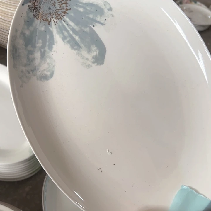 宋J18蓝花鱼盘一个