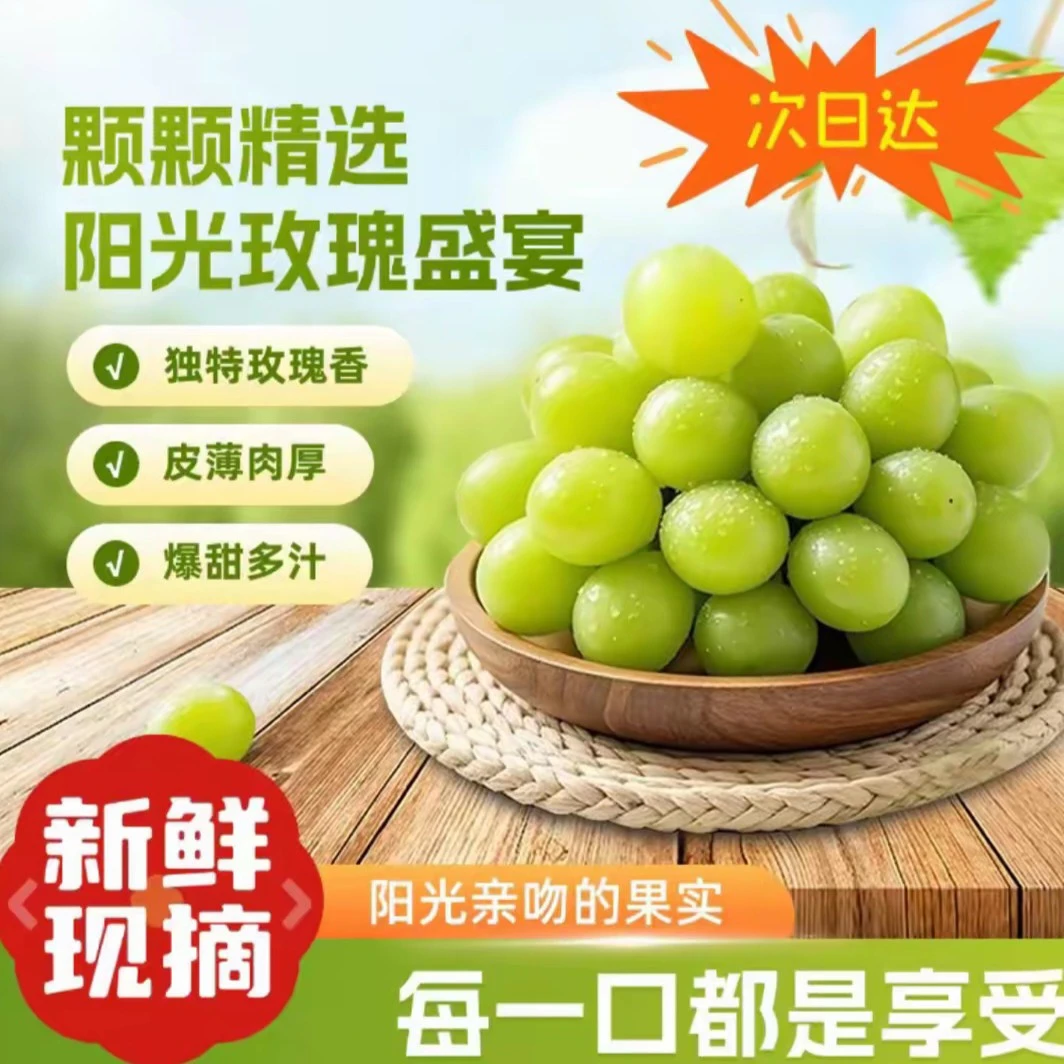 【京东冷链】阳光玫瑰葡萄新鲜应季脆甜多汁带玫瑰香现摘现发江苏省