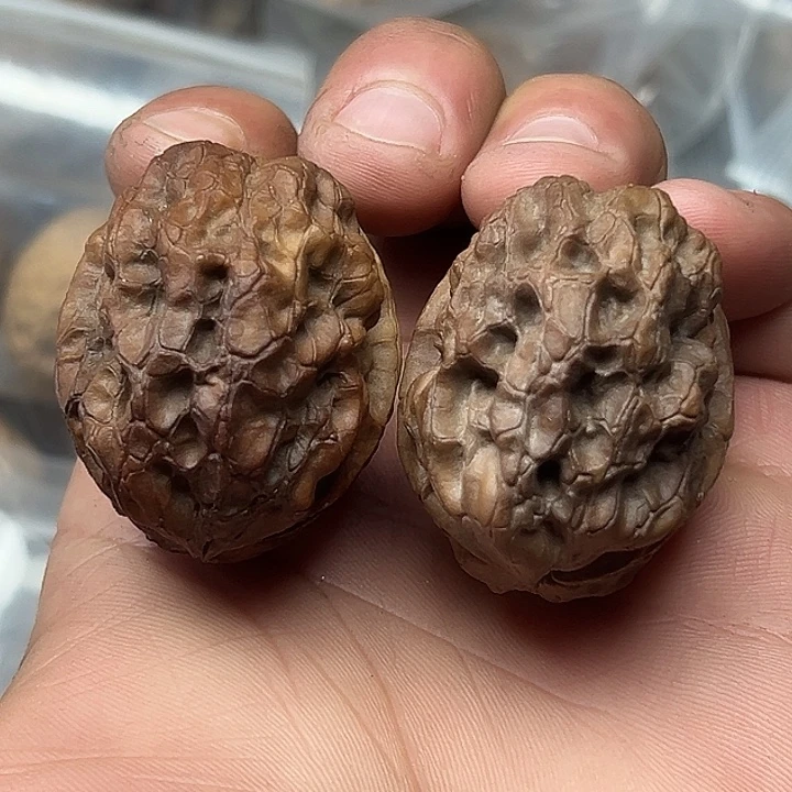 核桃63号花彩皇冠39尺