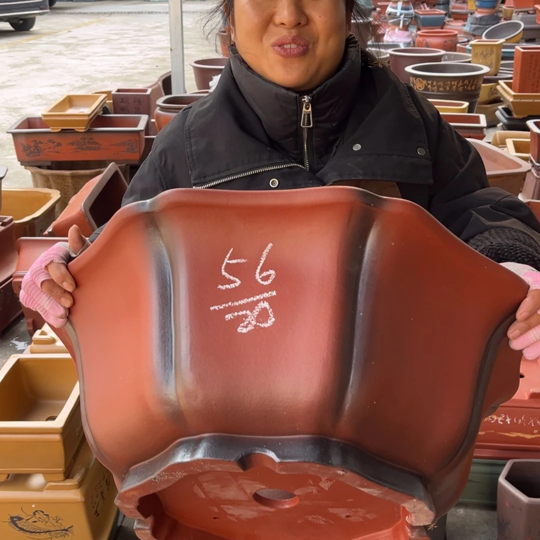 紫砂花盆盆景艺术