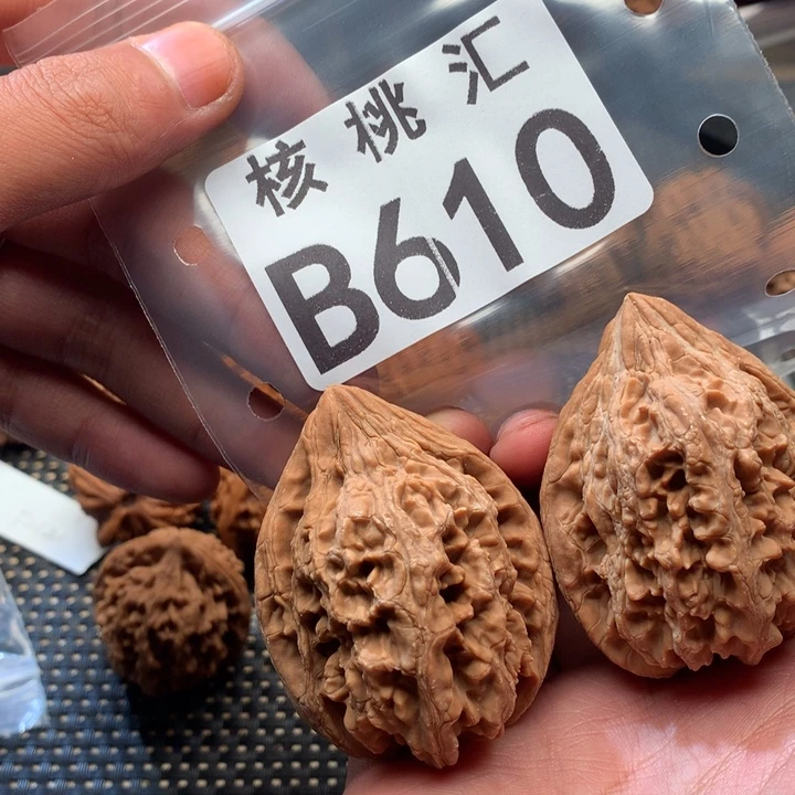 吊坠文玩核桃大沽石