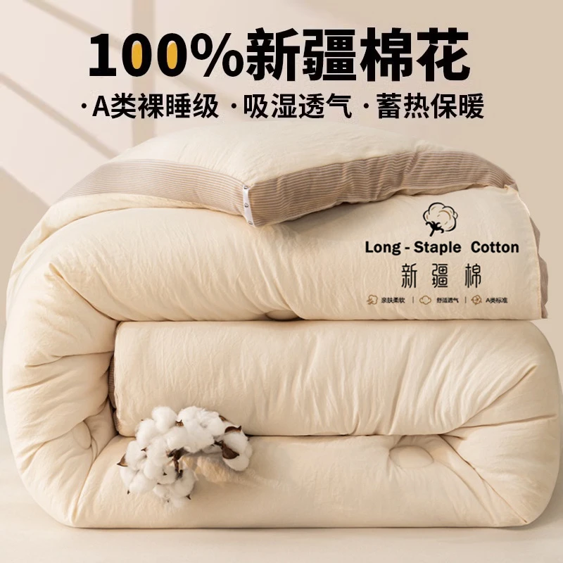 a类纯棉花被子冬被棉被冬季加厚保暖被芯宿舍学生单人春秋被棉絮A
