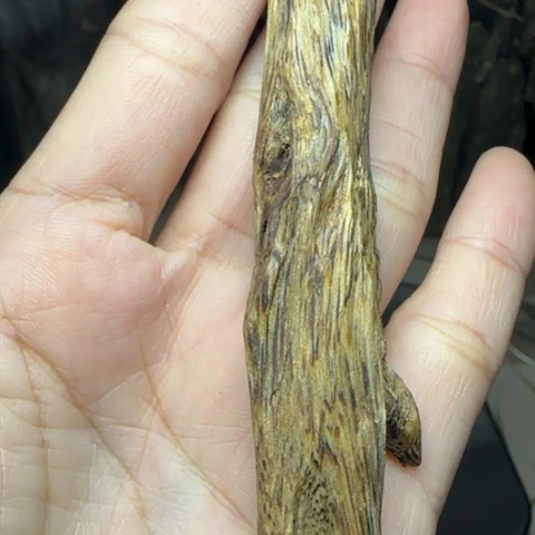 兰***雨线香上炉料13.7克黄棋