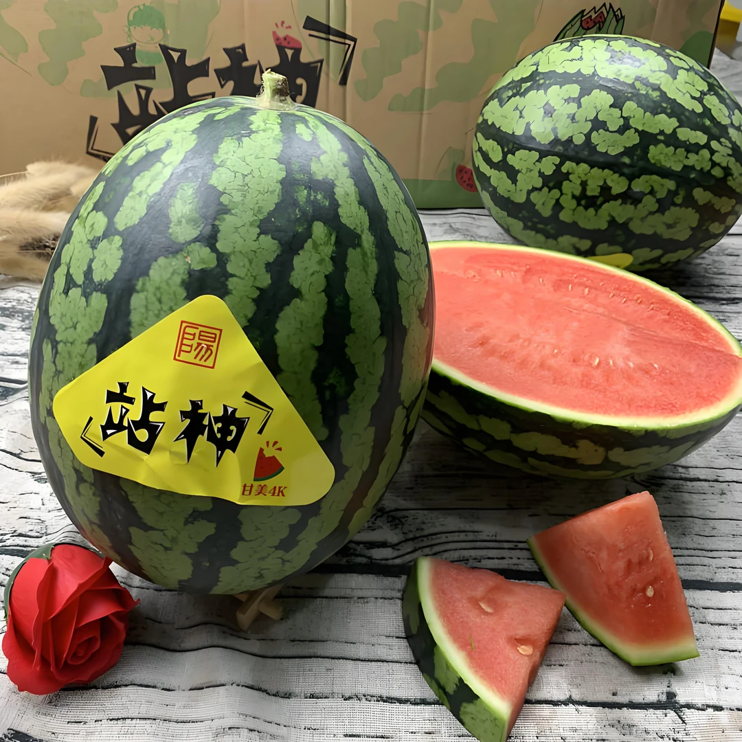 【果真棒生鲜】广东 甘美4K 西瓜  1个 5-10斤新鲜食用甜脆好吃水足