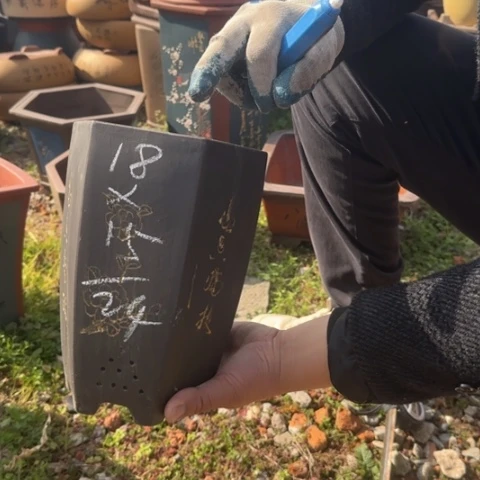 紫砂花盆紫砂花盆盆景盆栽