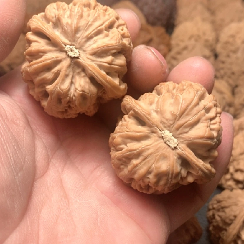 【闪购商品】大粗筋