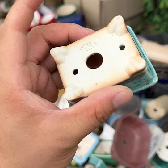 这就是为什么不在这里上班呀