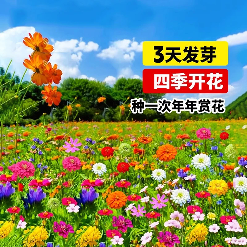 5.8体验装：品种齐全、品质保证