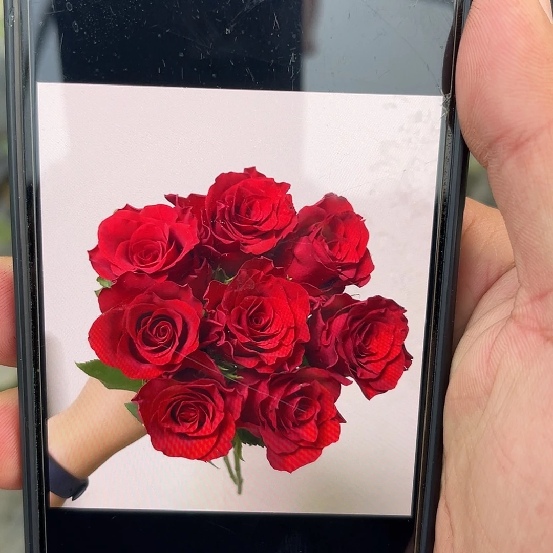 无花朵———保真 福利款