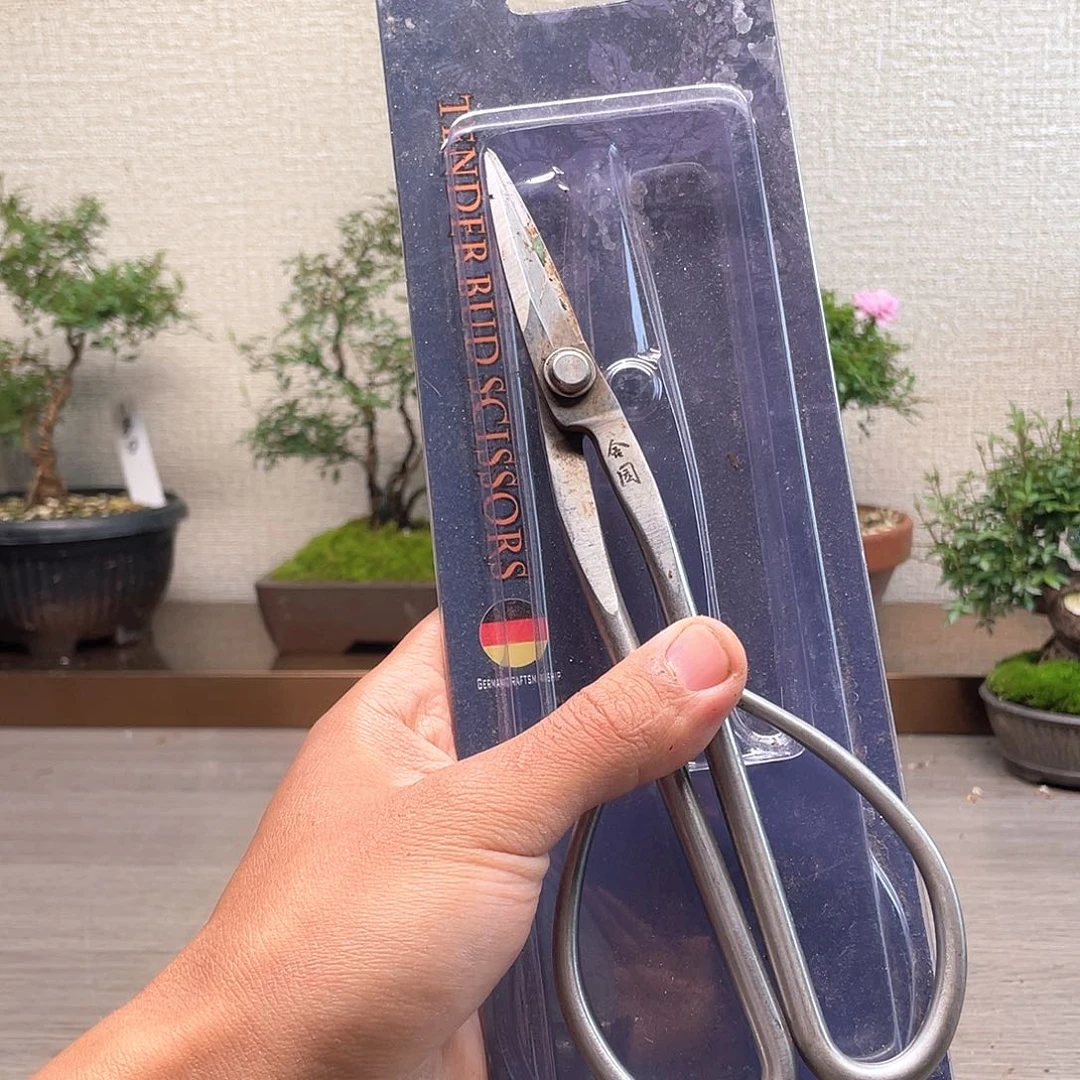 剪刀哈哈哈哈哈哈哈哈