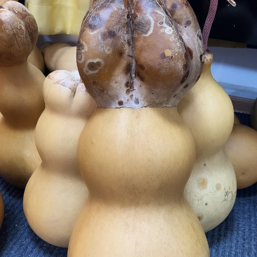 @**哥爆头莲花头八宝葫芦