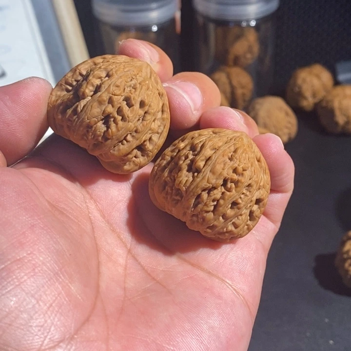 文玩核桃把件密纹
