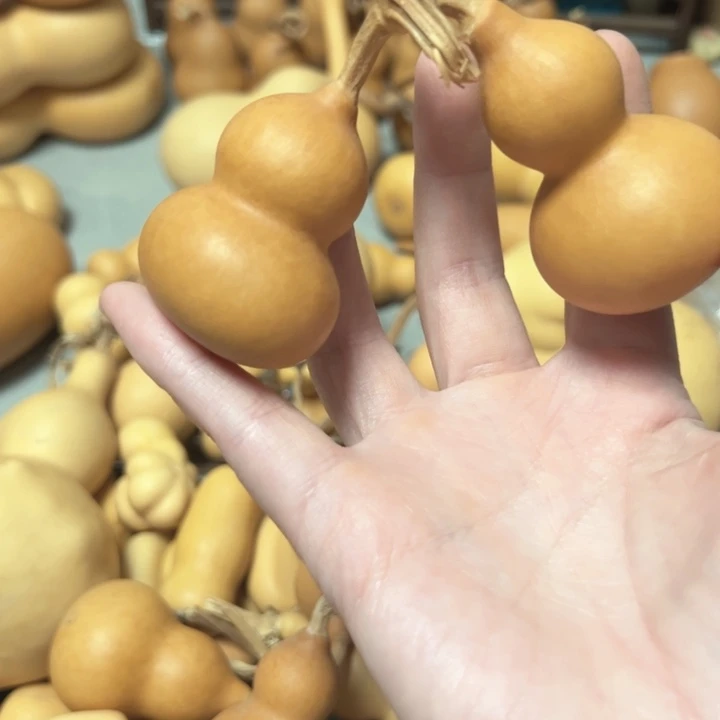 相****葫芦葫芦葫芦葫芦