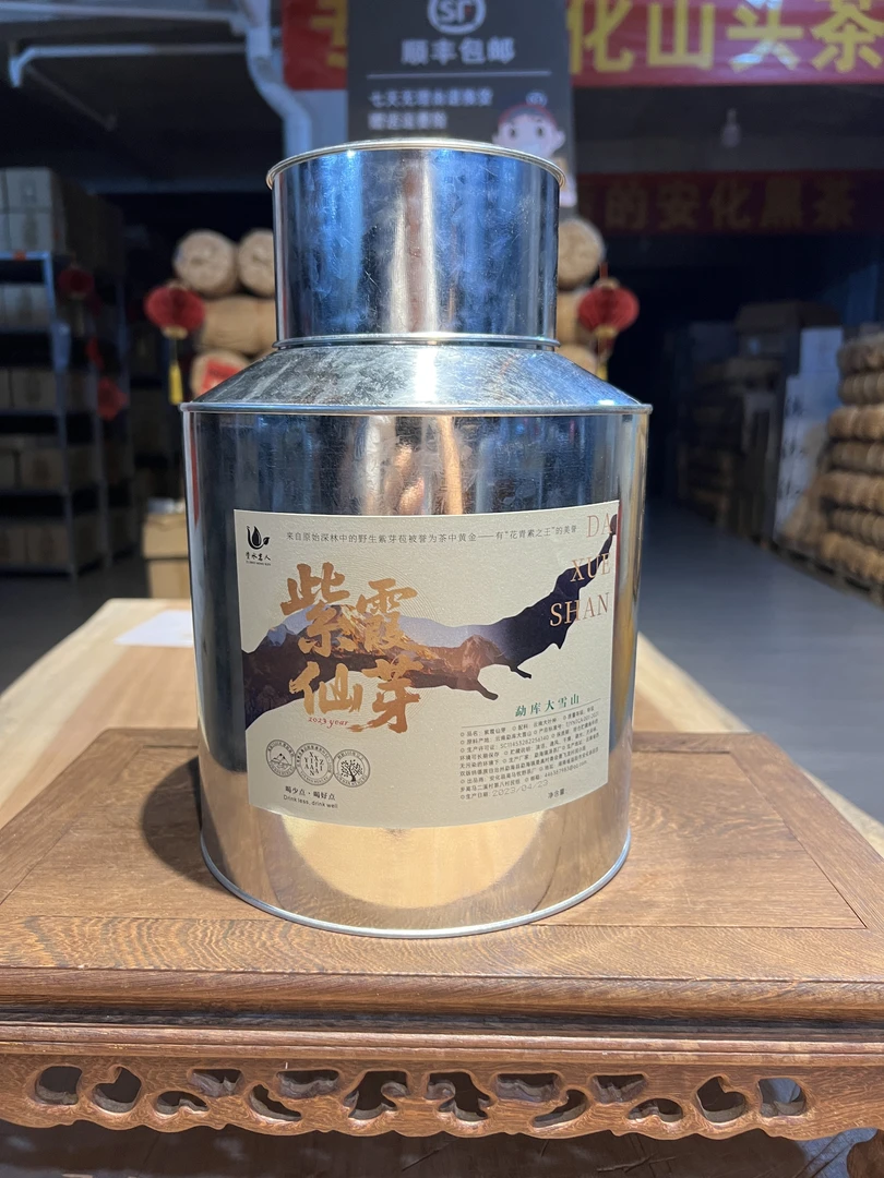 【紫霞仙芽】2023年 勐库大雪山 2500米原始森林 百年古树紫芽苞