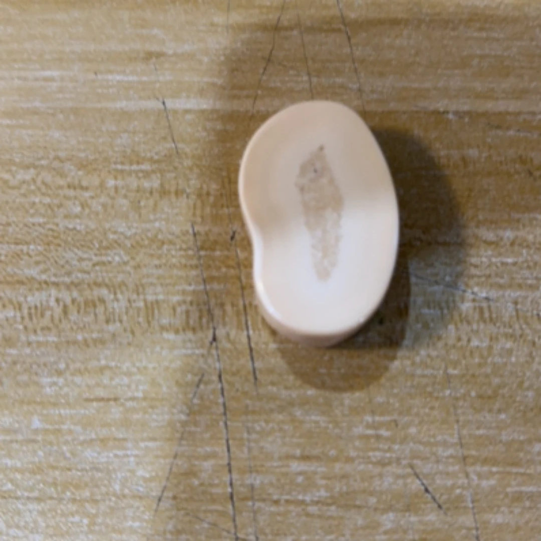 猛犸猛犸虬饼子 WT277