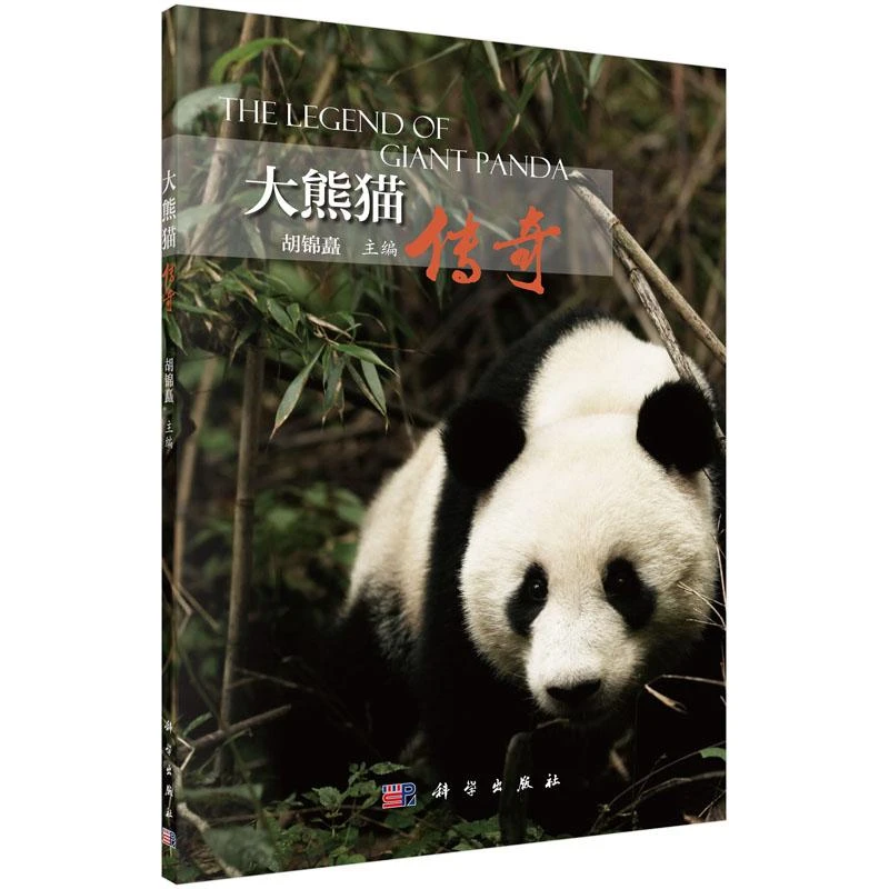 大熊猫传奇/胡锦矗