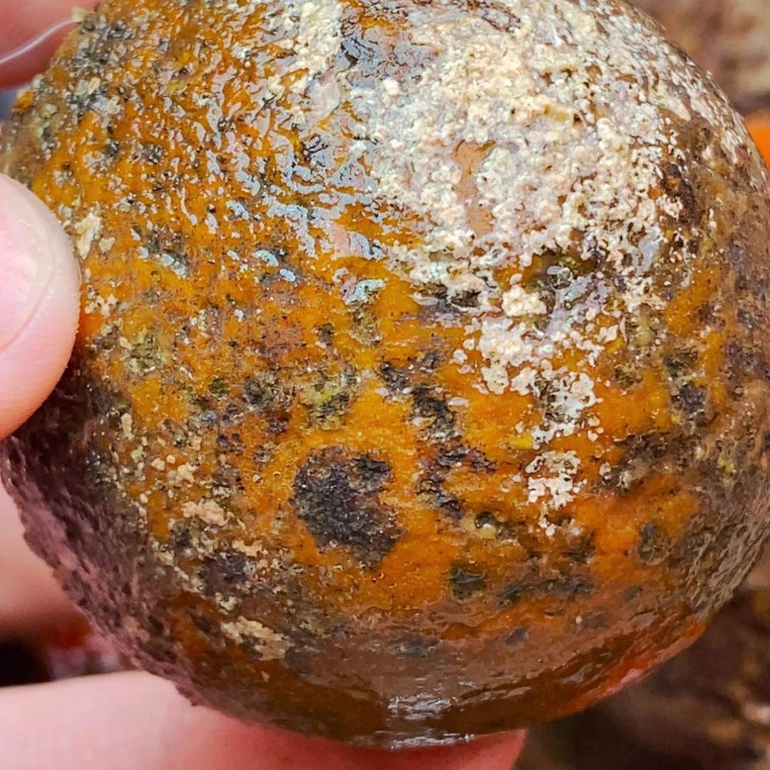 定制玛瑙芒*定制战国红玛瑙