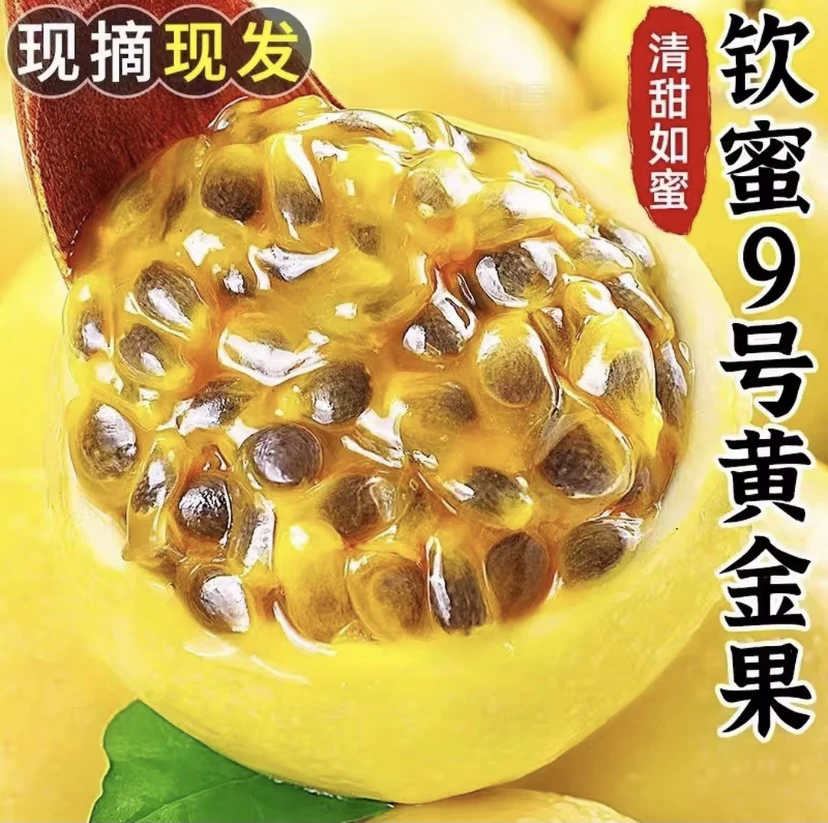 广西钦蜜9号百香果新鲜大果多汁当季水果包邮