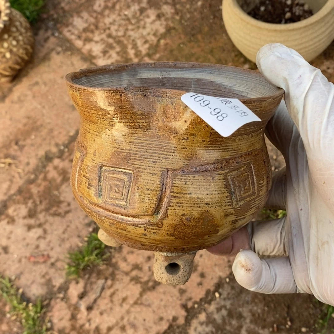 …****┴98号的人盆一个呀