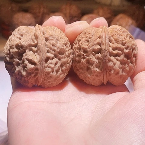 把件文玩核桃铁狮蟾带彩43