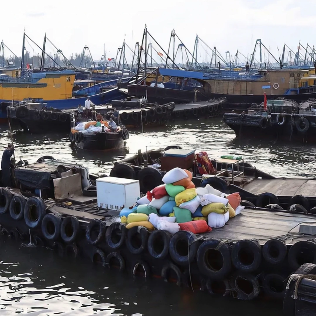 神泉港福利新鲜10包杂鱼套餐以直播间讲解为主（省内包邮）