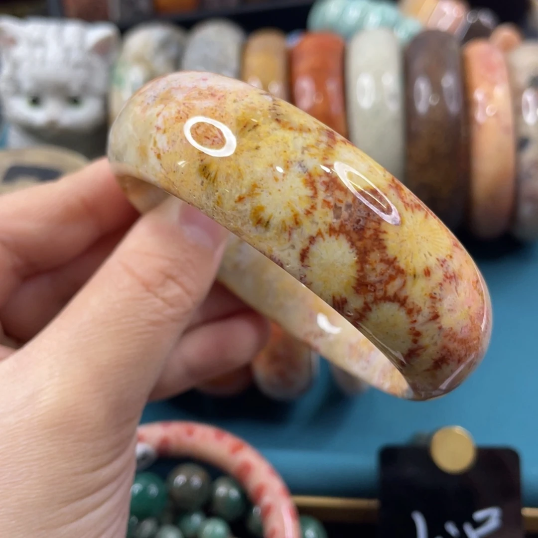 未镶嵌手镯硅化玉