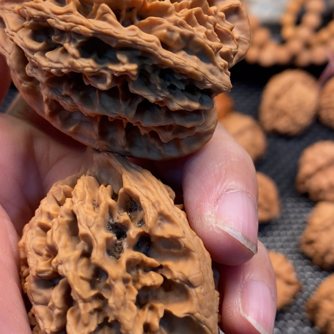 樛***爷秦岭森林茂密和植被覆盖