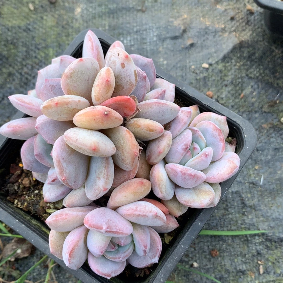 哈哈哈哈哈哈哈哈哈哈