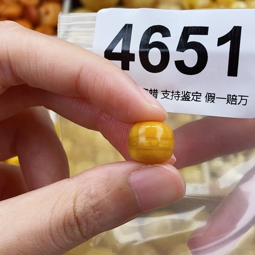 未镶嵌蜜蜡珠宝奇石12.1