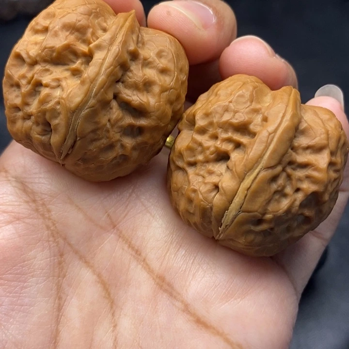 文玩核桃把件39尺帝王筋元宝