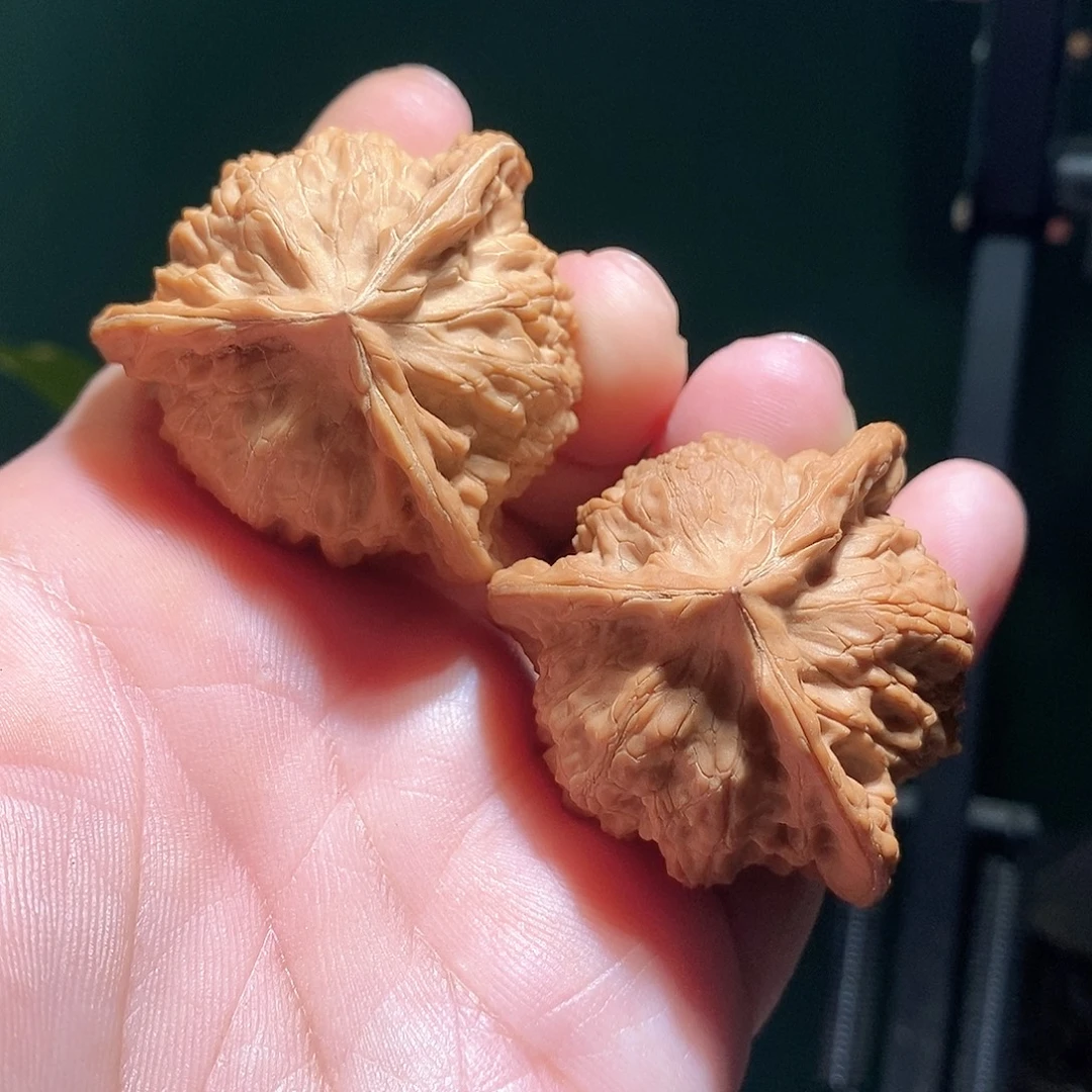 把件文玩核桃43崔凯公子帽三棱全品
