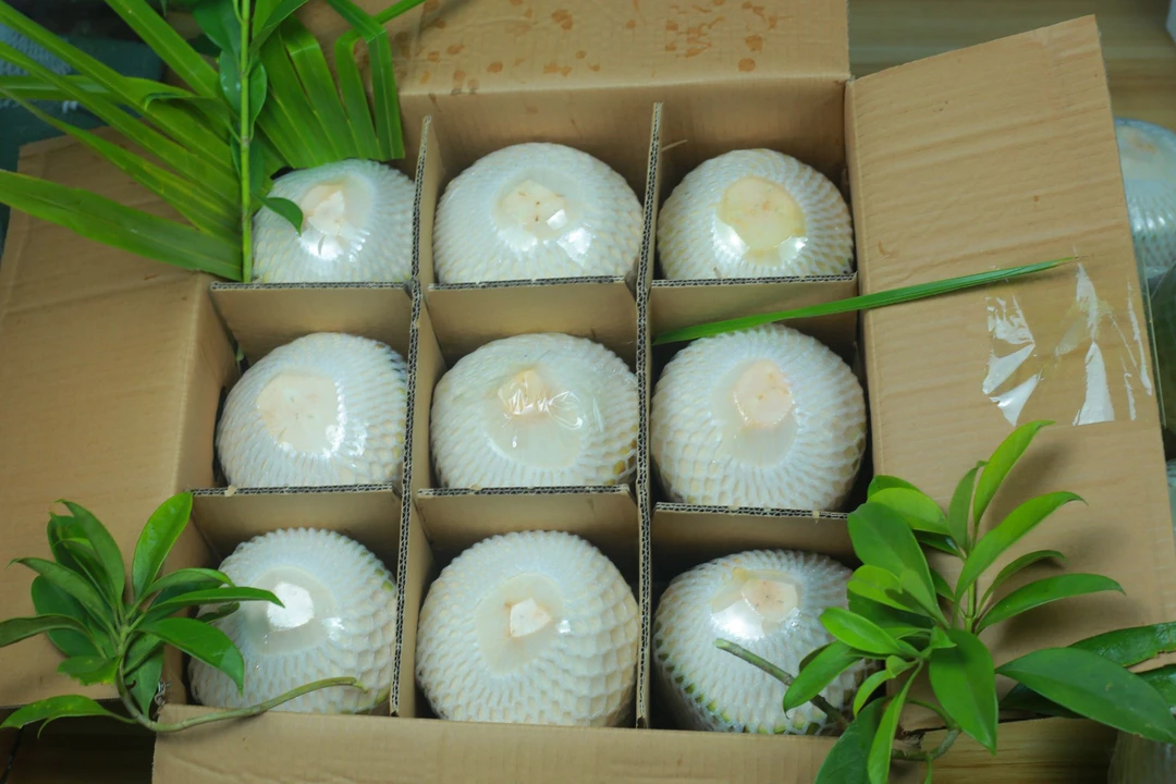 海南新鲜椰青现摘现发9个装孕妇水果补水佳品坏果包赔