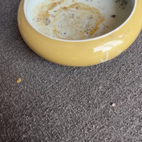 小*椒景德镇陶瓷景德镇瓷器