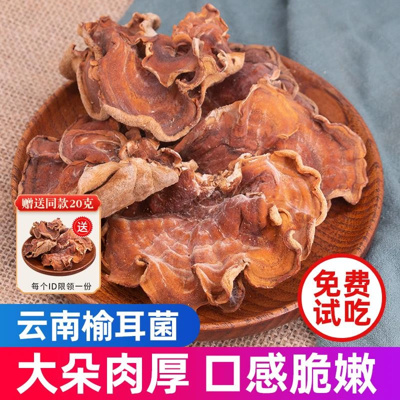 榆耳菌干货500g蘑菇云南特产灵芝菇榆耳羊肚菌菇干香菇菌类煲汤料